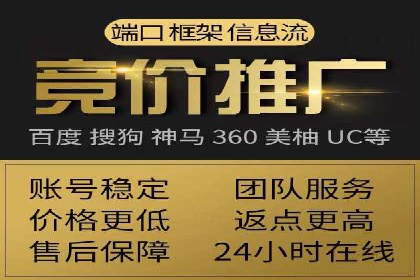 提升网站流量与转化率的关键——关键词竞价排名案例